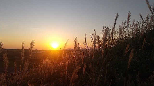 f:id:ao-a:20230919113929j:image