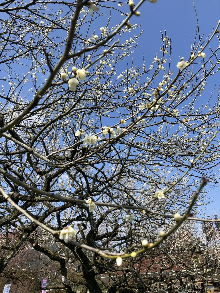 f:id:ao2222:20190309091230j:plain