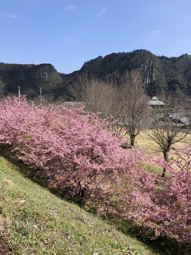 f:id:ao2222:20190309091323j:plain
