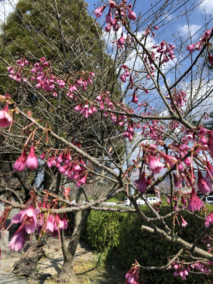 f:id:ao2222:20190323234042j:plain