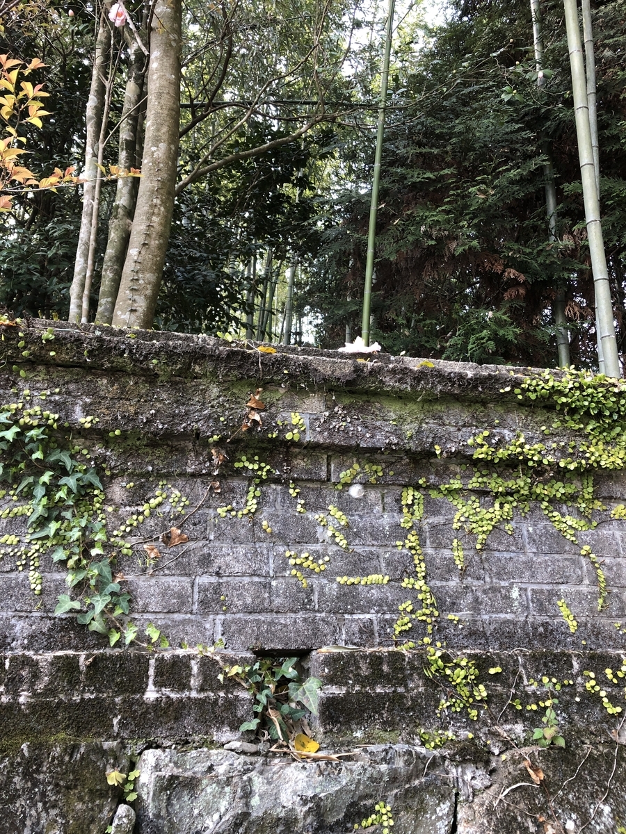 f:id:ao2222:20190323234304j:plain