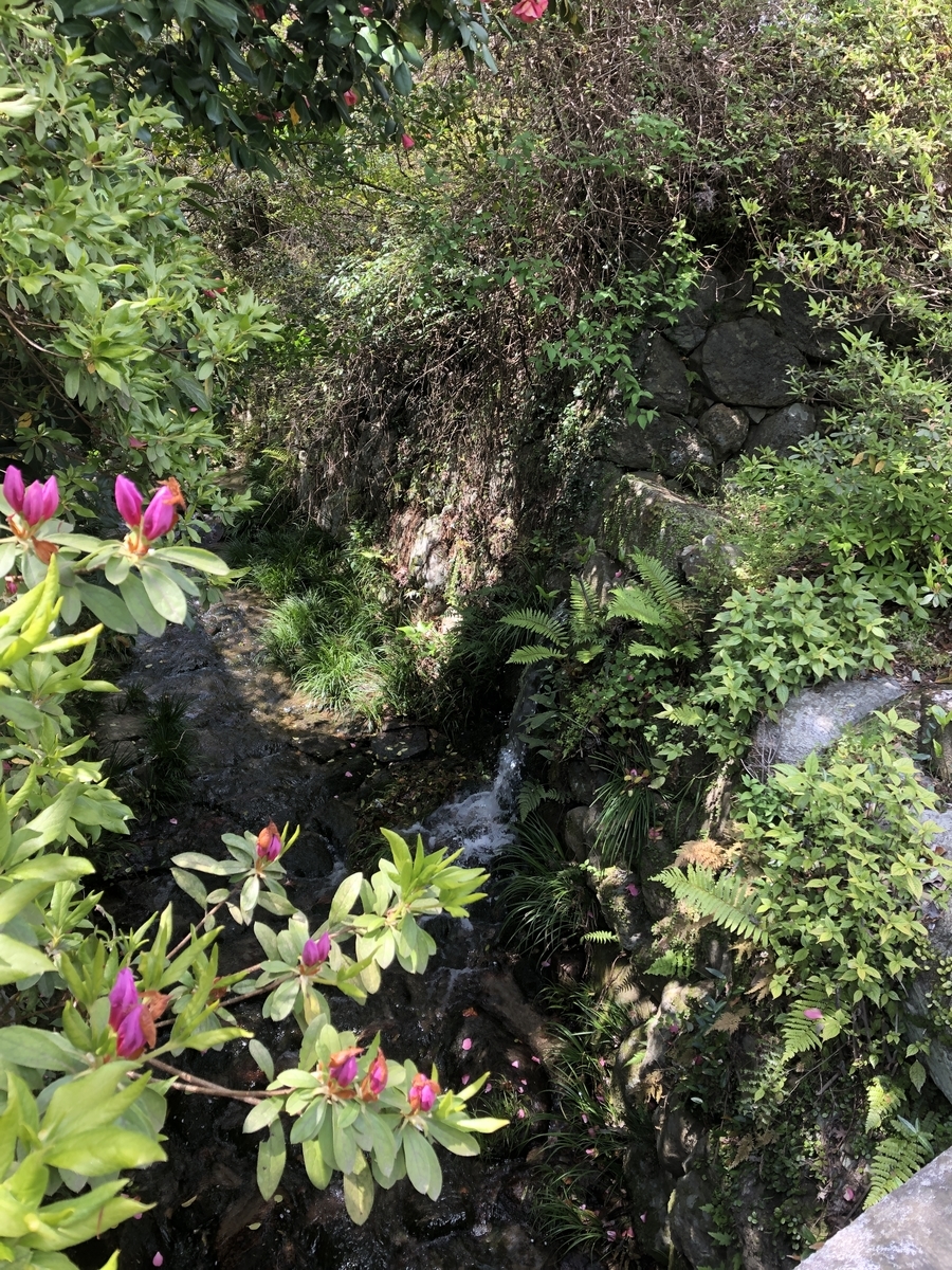 f:id:ao2222:20190413094751j:plain