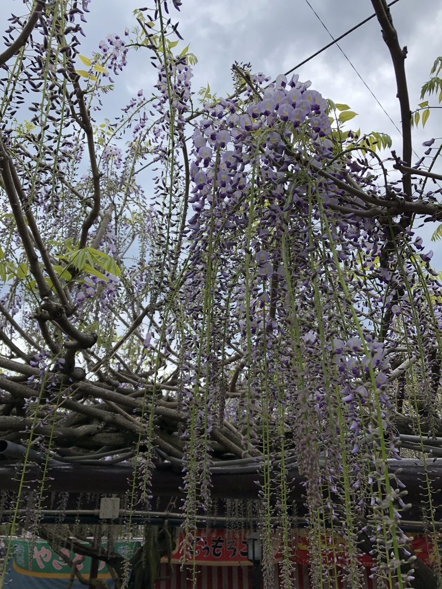 f:id:ao2222:20190417160450j:plain