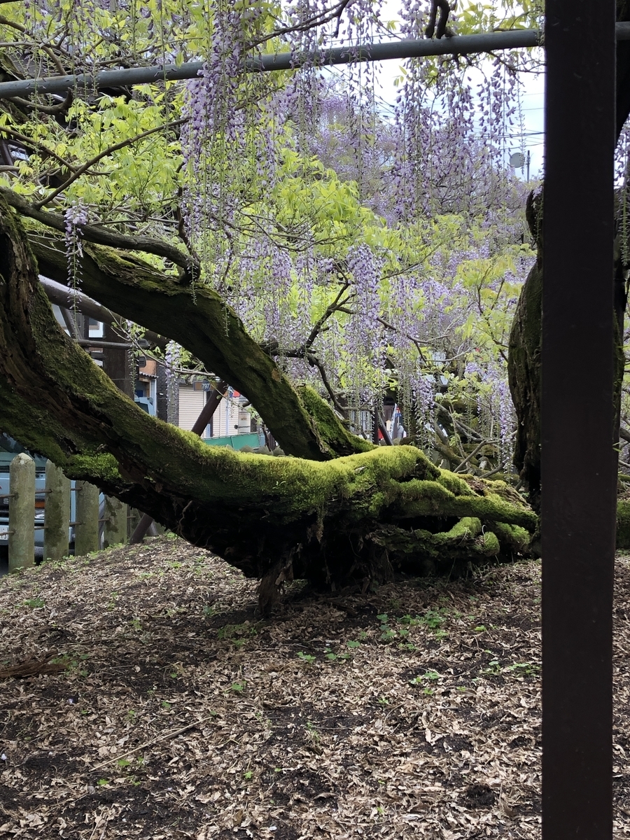 f:id:ao2222:20190417160548j:plain