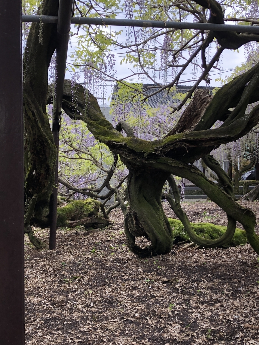 f:id:ao2222:20190417160613j:plain