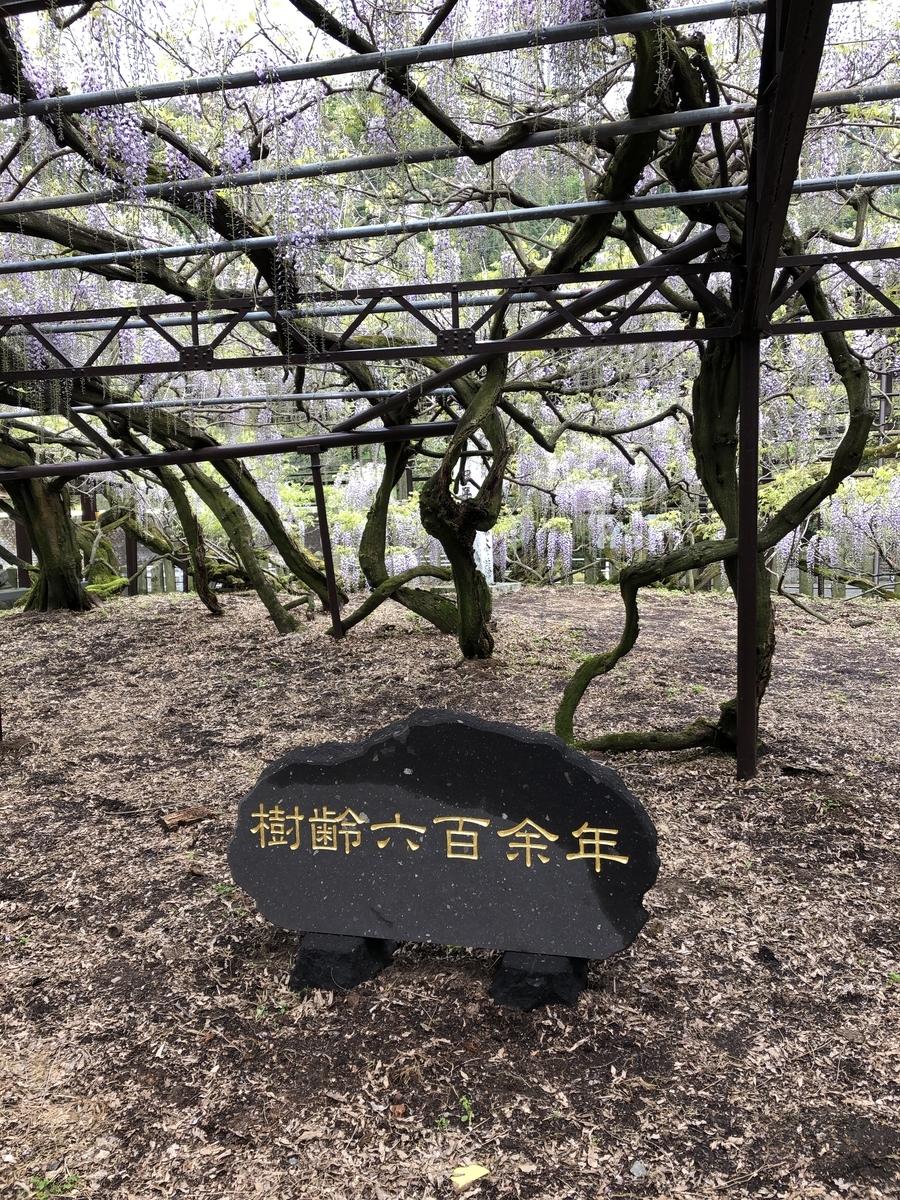 f:id:ao2222:20190417160652j:plain