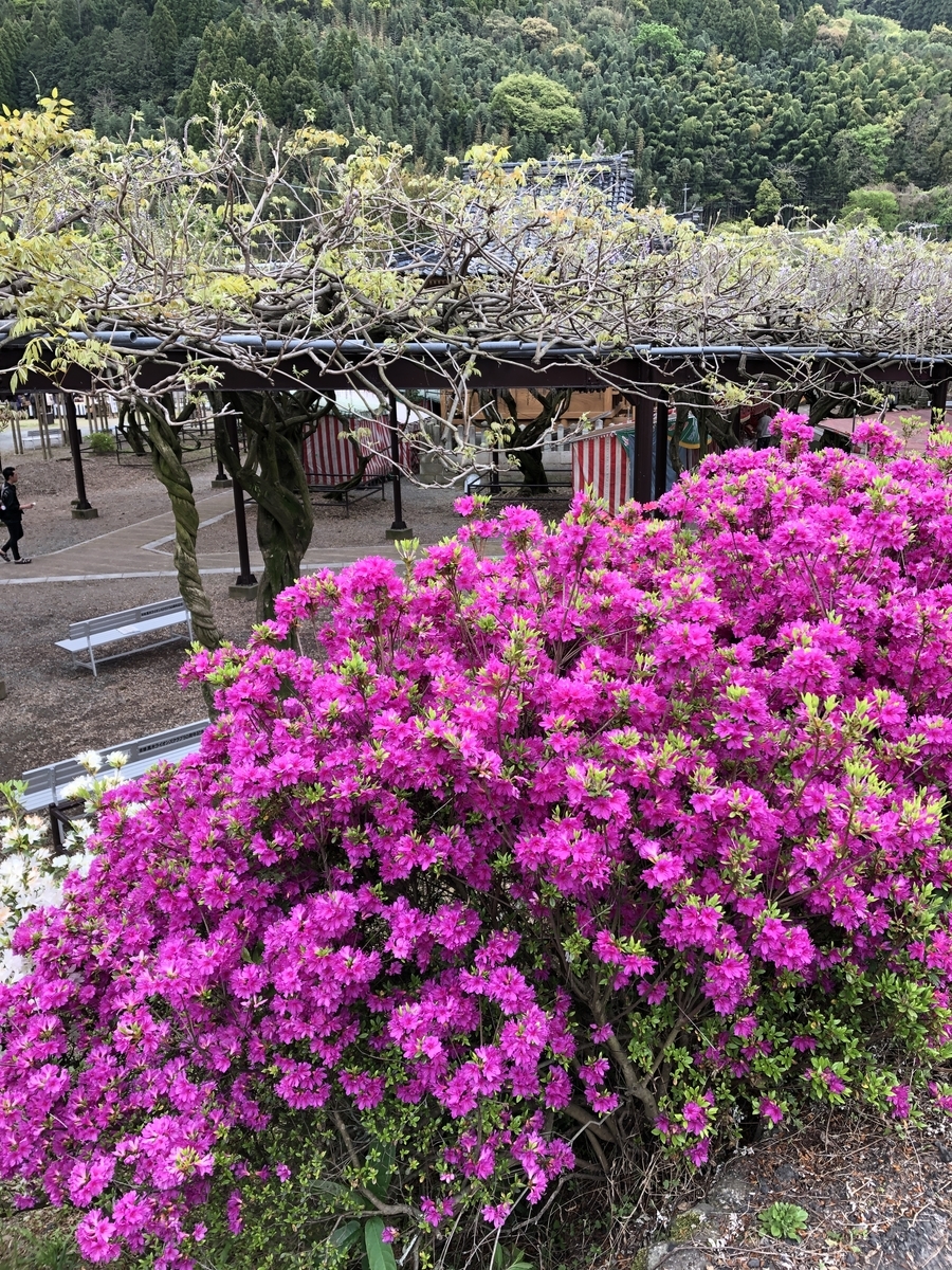 f:id:ao2222:20190417160728j:plain