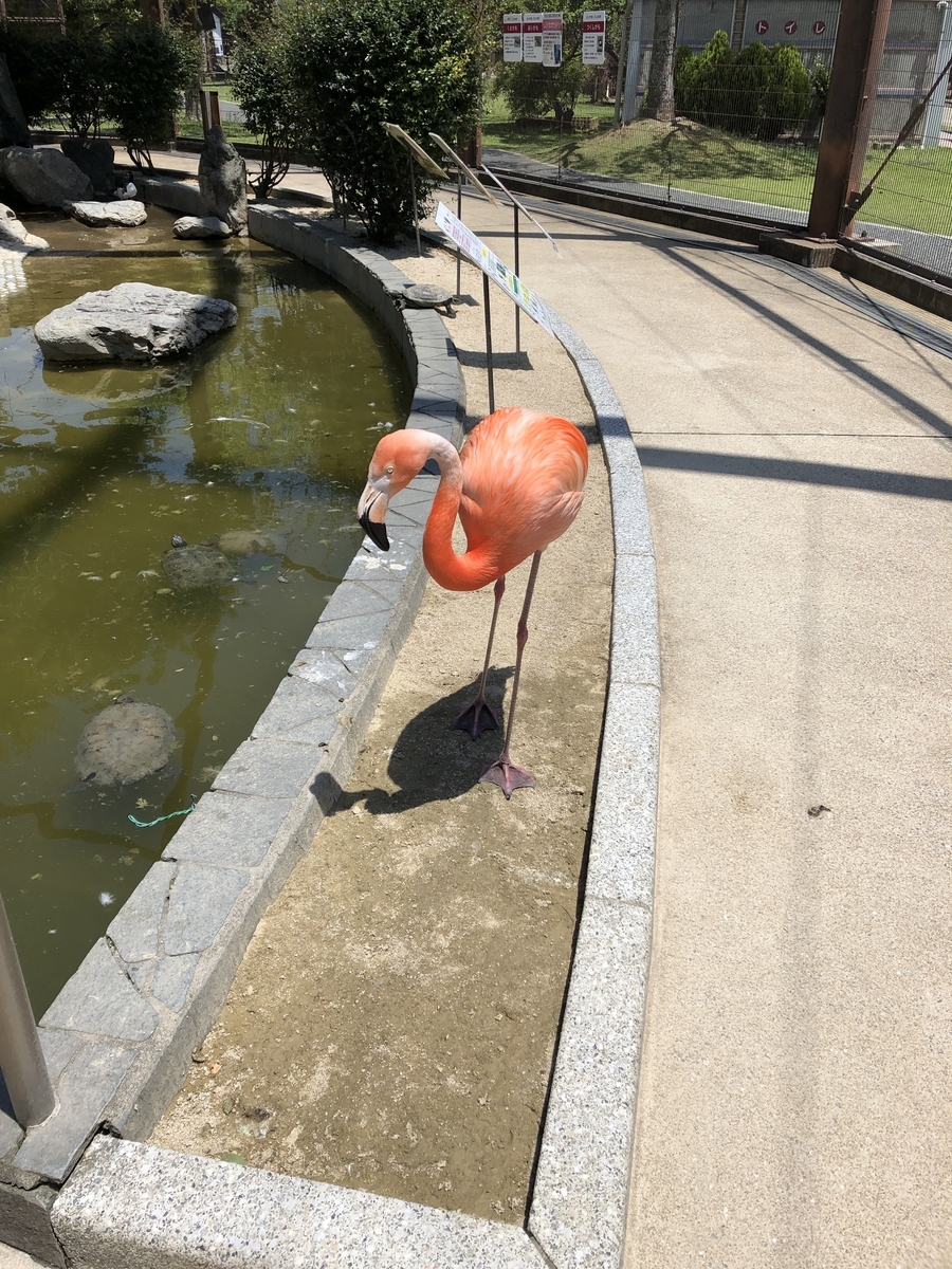 f:id:ao2222:20190522230320j:plain