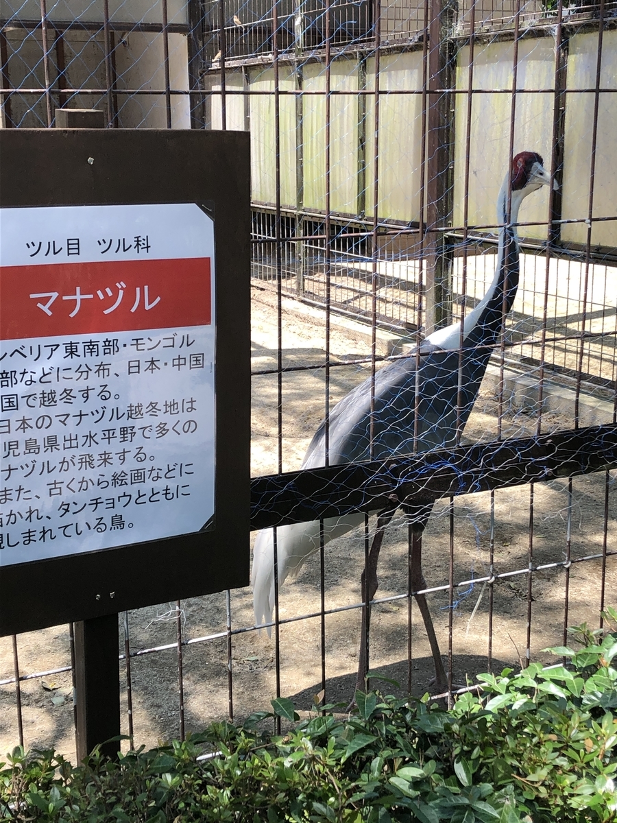 f:id:ao2222:20190523154610j:plain