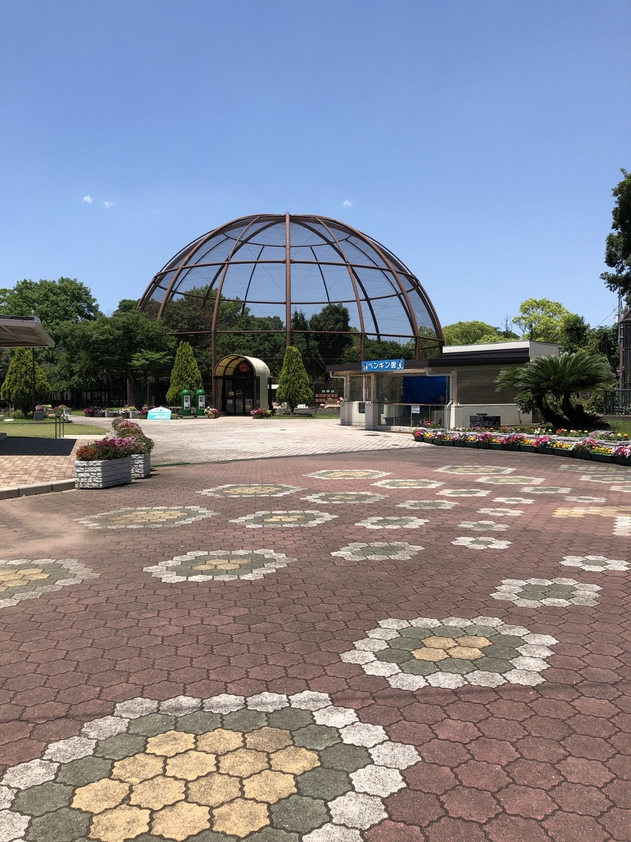 f:id:ao2222:20190523154906j:plain