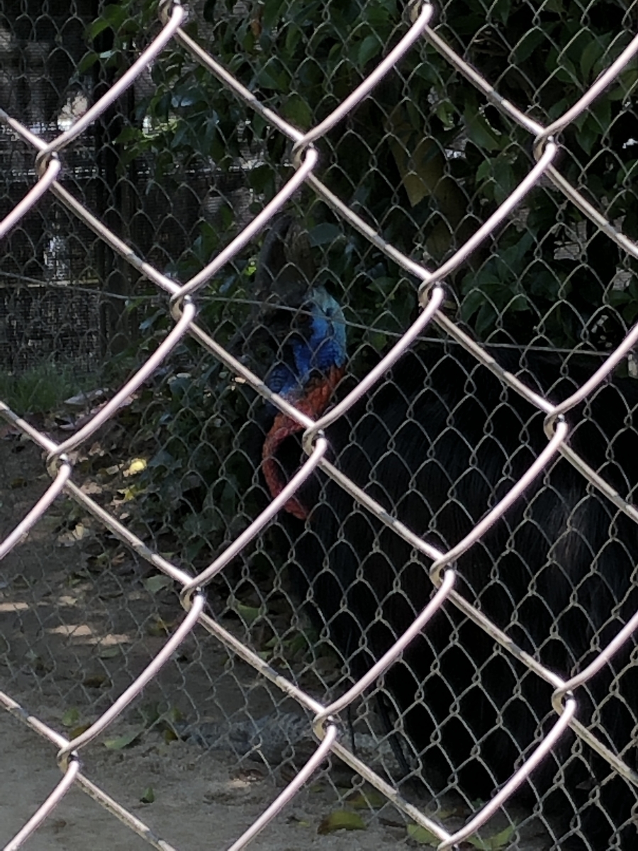 f:id:ao2222:20190524122032j:plain