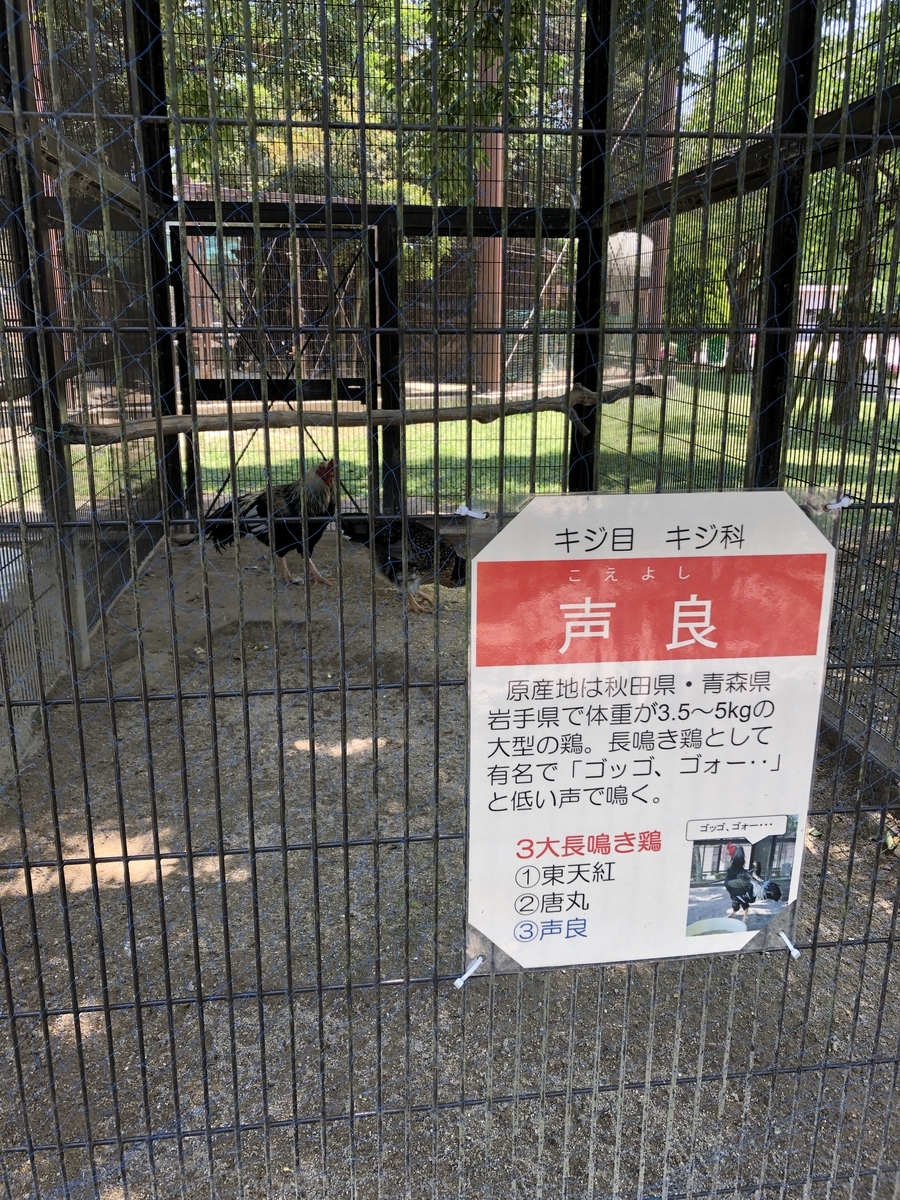 f:id:ao2222:20190524122203j:plain