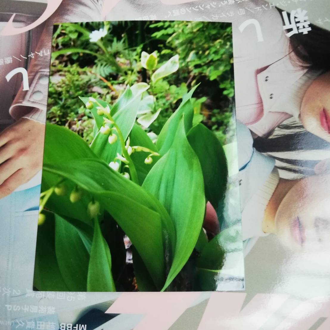 f:id:ao26:20210523110933j:plain