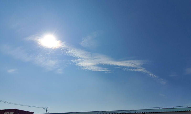 f:id:ao_karasu:20200802132128j:plain