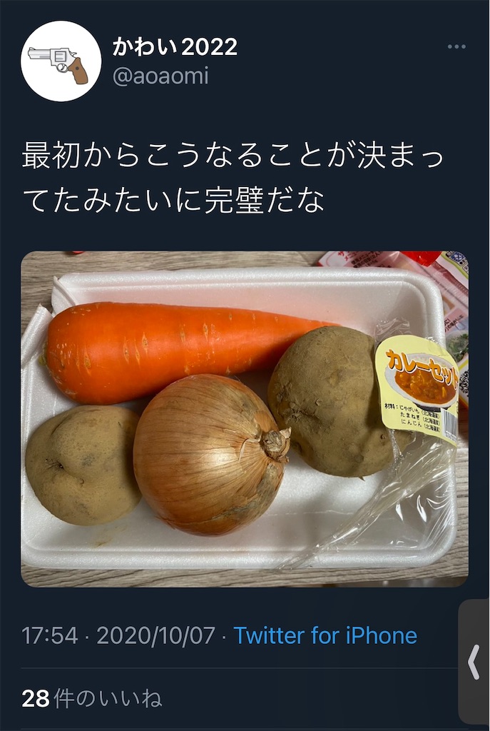f:id:aoaomi:20221015204952j:image