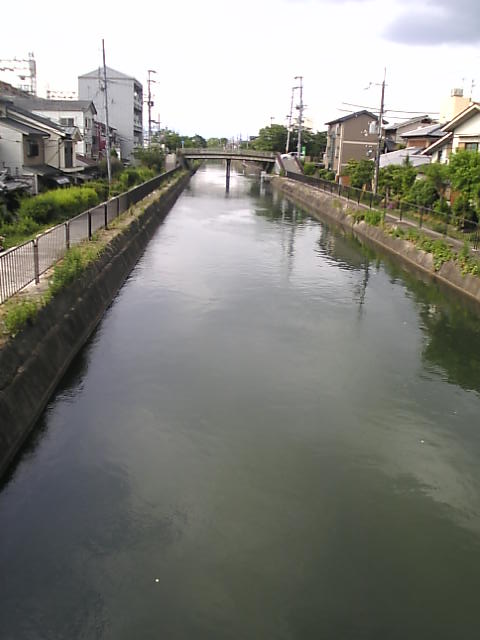イメージ 4