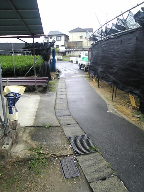 イメージ 3