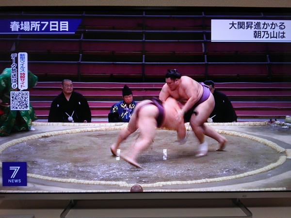 無観客の大相撲 やっぱり味気ない 60 Sアラカン青森