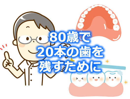80歳で20本の歯を残すイラスト