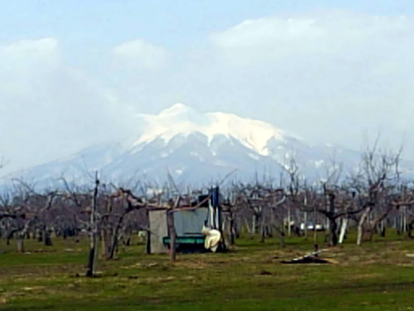 2020年3月22日(昨日)の岩木山の写真