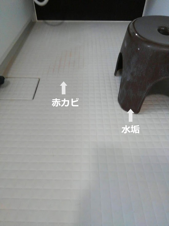 風呂の床の赤カビと風呂椅子の水垢の写真