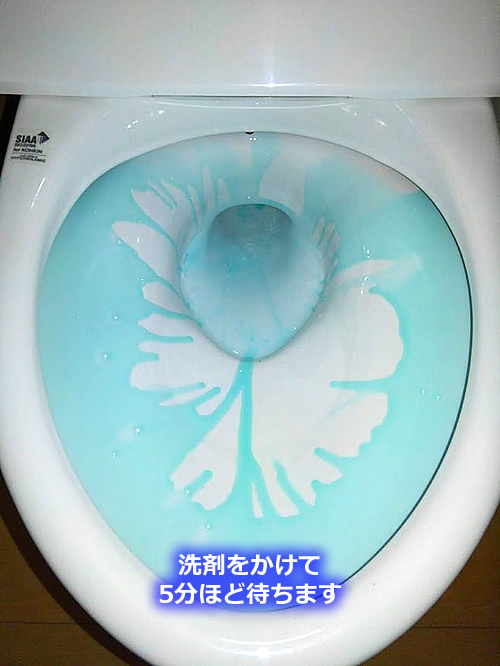 便器にトイレ洗剤を掛けた写真