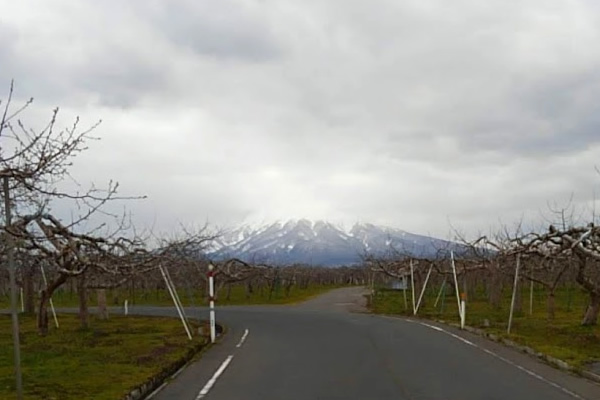 2020年4月24日の岩木山の写真