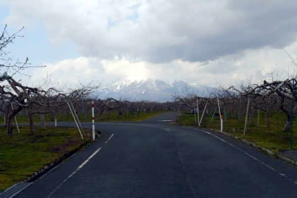 2020年4月27日(昨日)の岩木山の写真