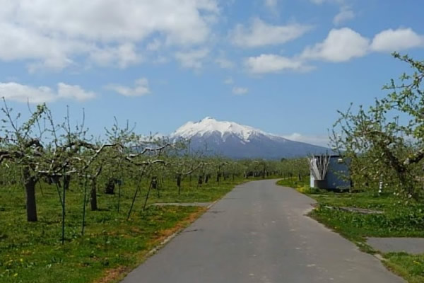 2020年5月5日の岩木山の写真