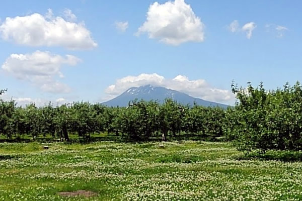 2020年6月15日の岩木山の写真