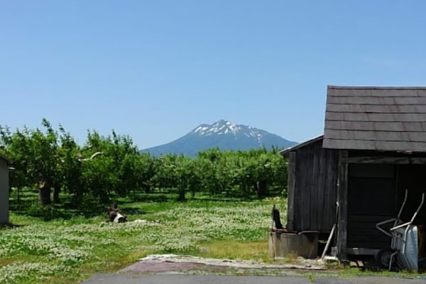 2020年6月13日の岩木山の写真