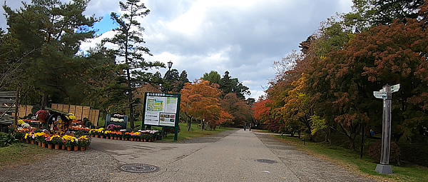 弘前公園の東門を入って植物園入口の紅葉写真