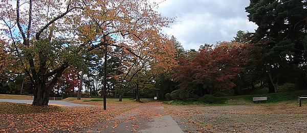 弘前城情報館横の紅葉の写真