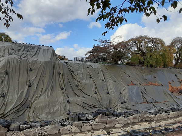 弘前公園の工事中の本丸石垣と移動された天守の写真