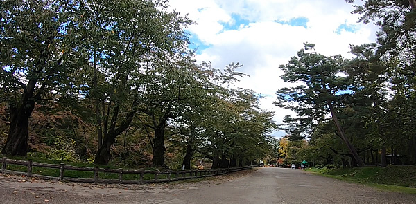 弘前公園の市民広場横の桜の木々もまだ葉が緑ですという写真