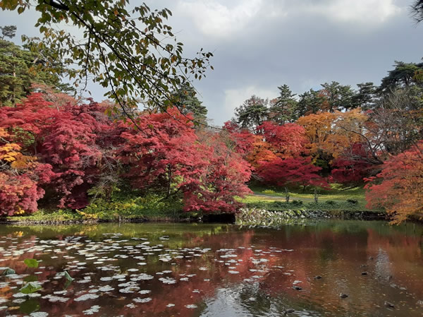 2020年弘前公園(弘前城)の紅葉写真_01