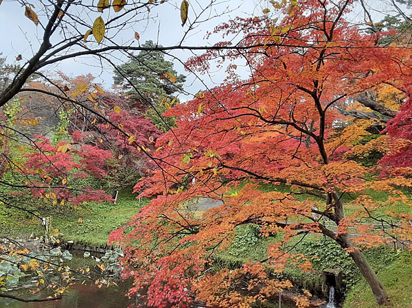 2020年弘前公園(弘前城)の紅葉写真_02