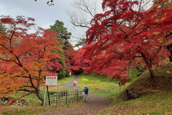 2020年弘前公園(弘前城)の紅葉写真_03