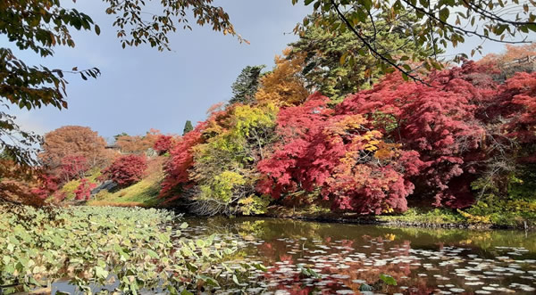 2020年弘前公園(弘前城)の紅葉写真_04