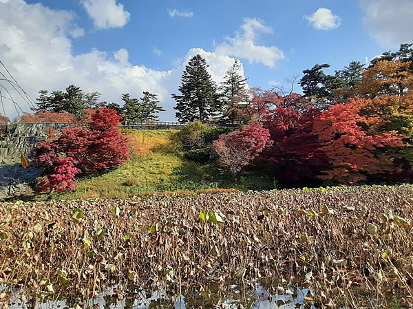 2020年弘前公園(弘前城)の紅葉写真_06