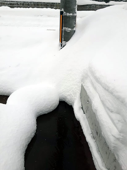 道路に積もった雪の写真02