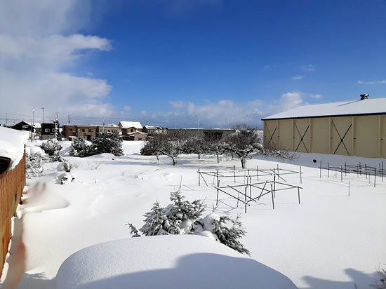 暴風雪一過の晴れ間の写真01