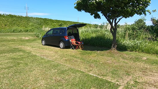 木陰で外カフェ