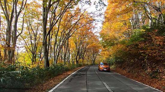酸ヶ湯の紅葉トンネル