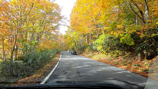 酸ヶ湯の紅葉トンネル