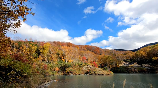 酸ヶ湯地獄沼の紅葉
