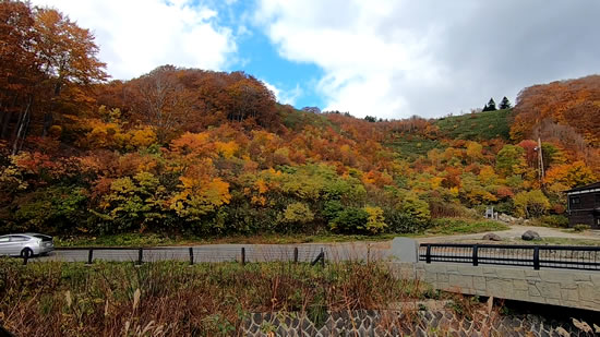 酸ヶ湯温泉前の駐車場から見た紅葉