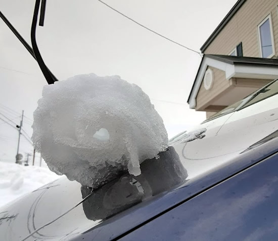 雪のロールケーキ?写真