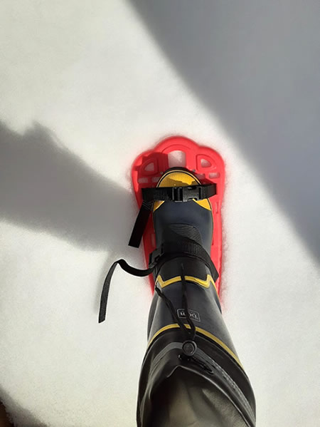 かんじきを履いて雪へ踏み出した足の写真