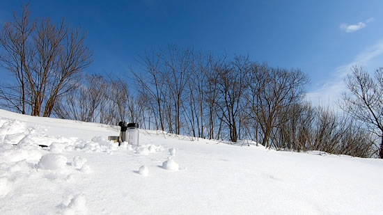 雪に覆われた川岸の風景の写真